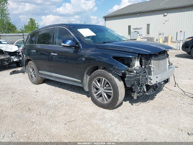 Salvage INFINITI Qx Image