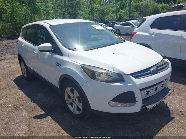 Salvage Ford Escape Image