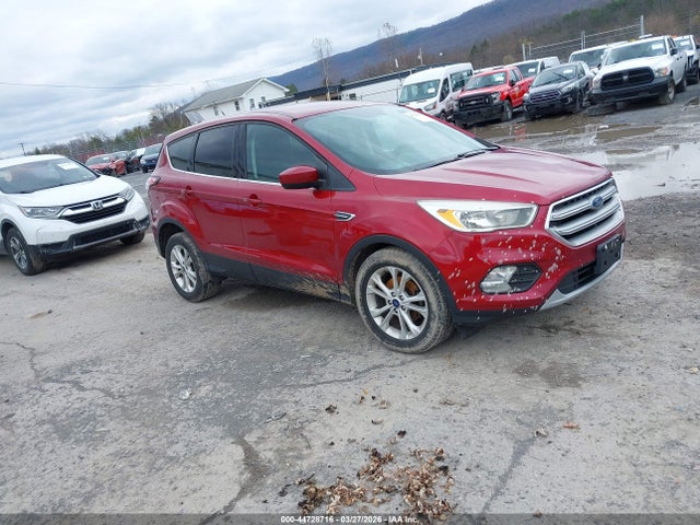 Salvage Ford Escape Image