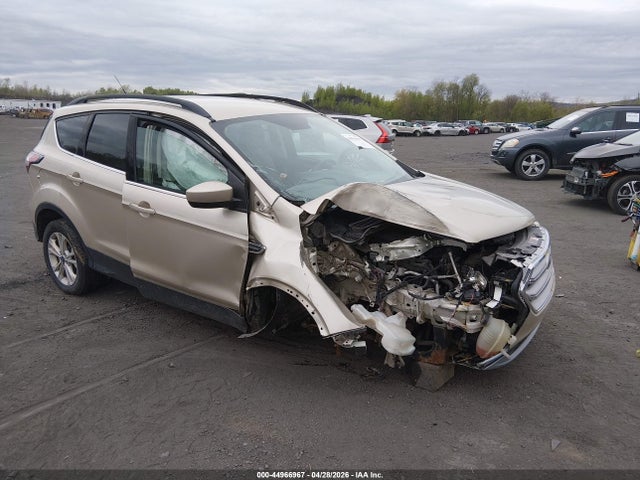 Salvage Ford Escape Image