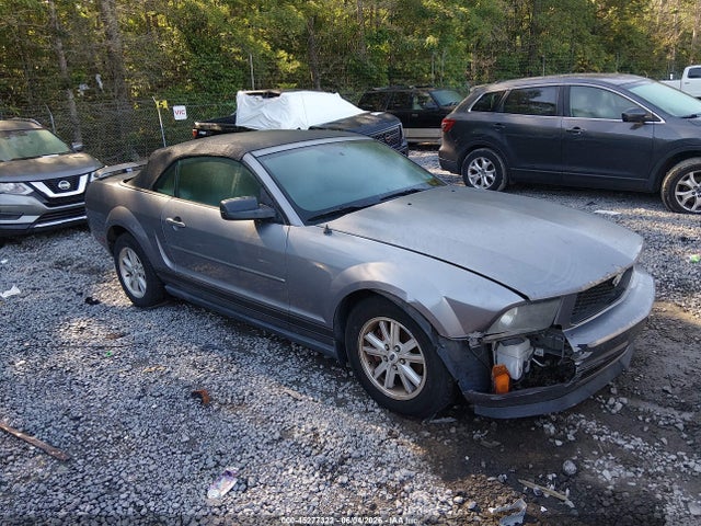 Salvage Ford Mustang Image