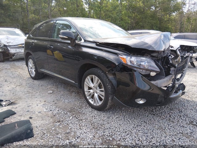 Salvage Lexus RX Image