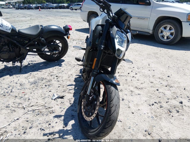 Cf Moto 300nk