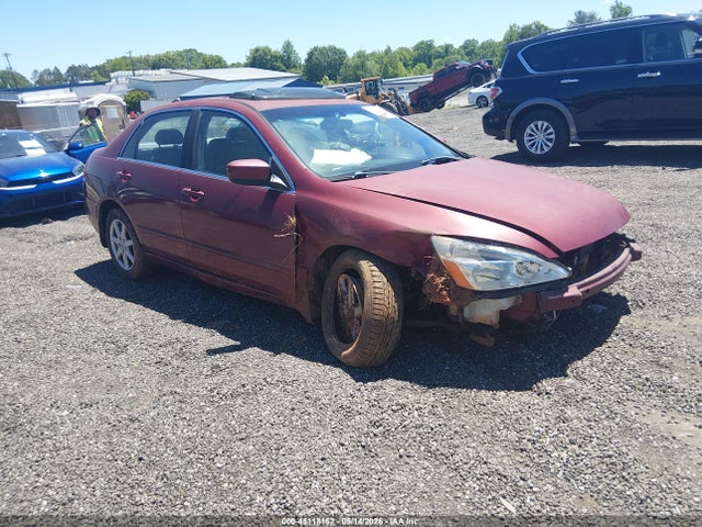 Salvage Honda Accord Image
