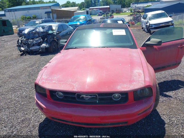 Ford Mustang V6