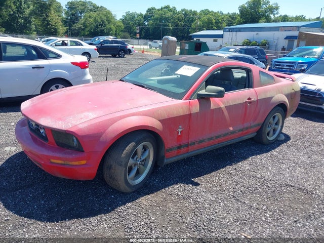 Ford Mustang V6