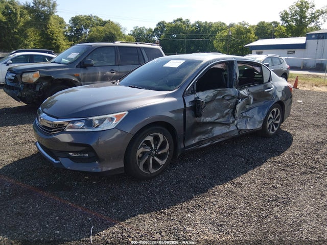 Honda Accord Ex-l V6