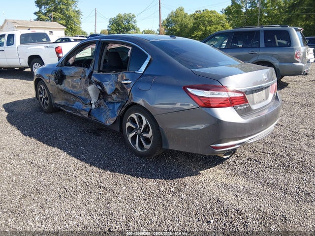 Honda Accord Ex-l V6