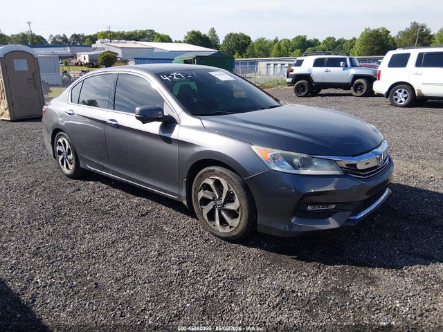 Salvage Honda Accord Image