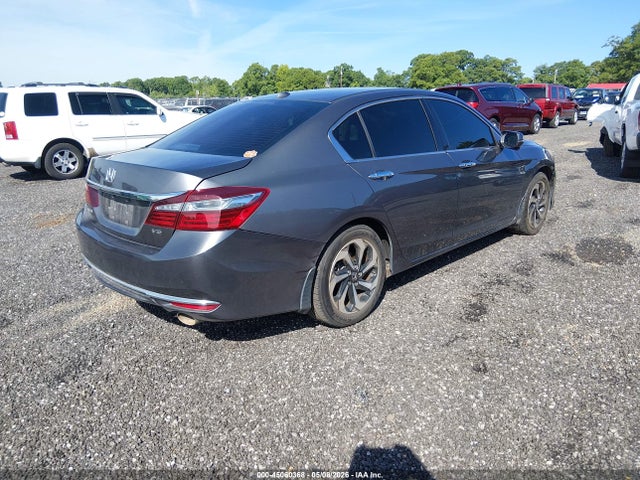 Honda Accord Ex-l V6