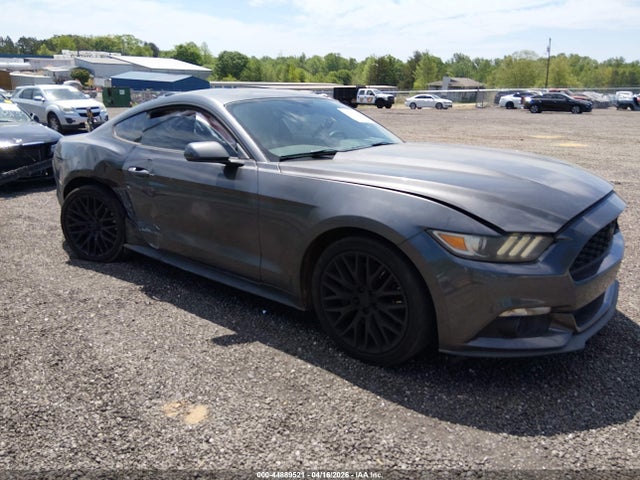 Salvage Ford Mustang Image