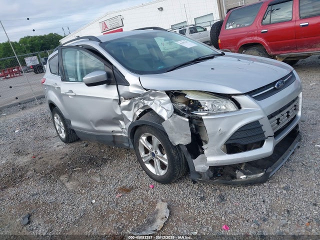 Salvage Ford Escape Image