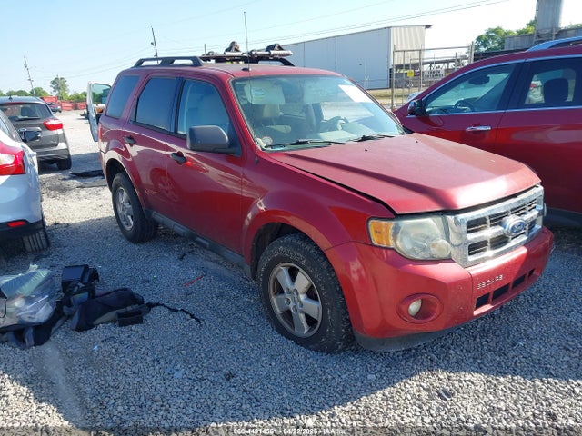 Salvage Ford Escape Image