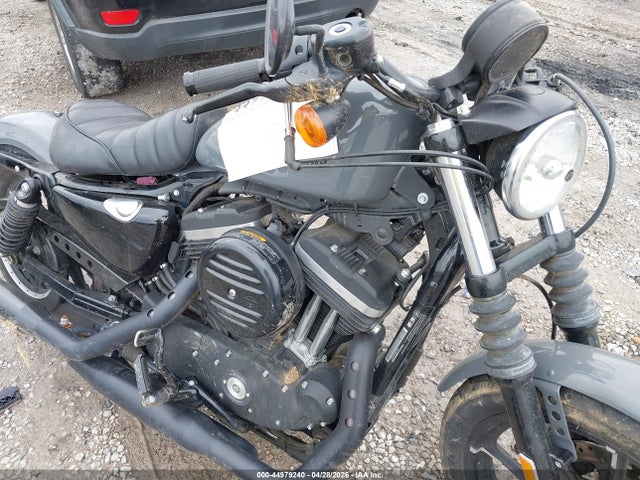Harley-Davidson Xl883 N