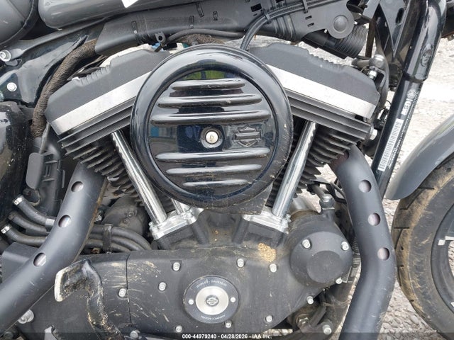 Harley-Davidson Xl883 N