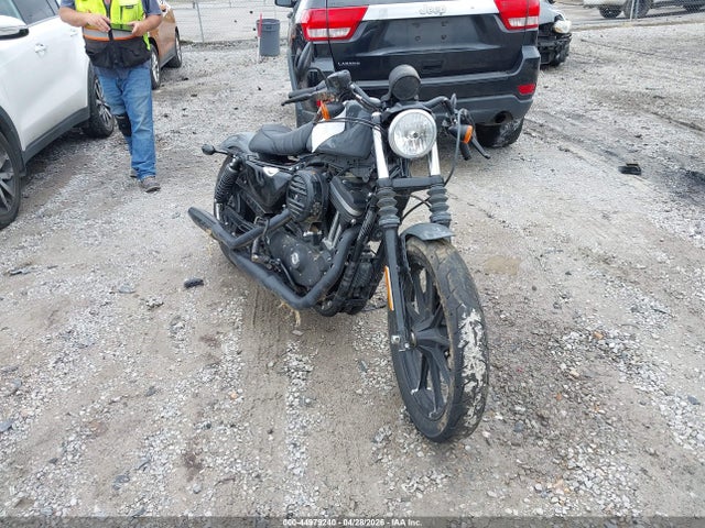 Salvage Harley-Davidson Xl883 Image