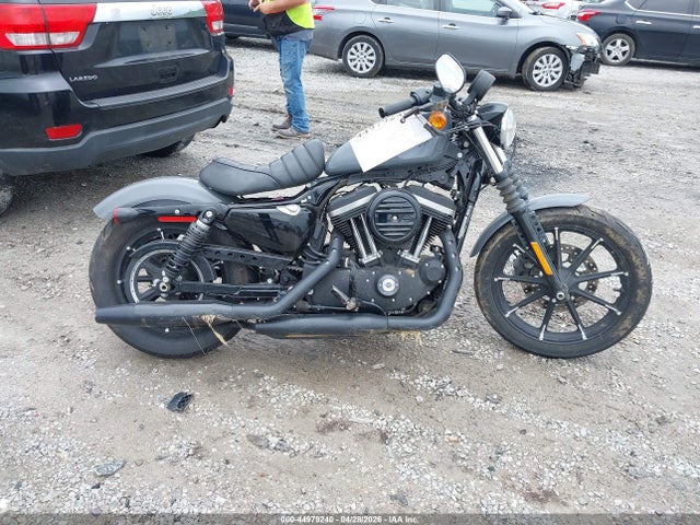 Harley-Davidson Xl883 N
