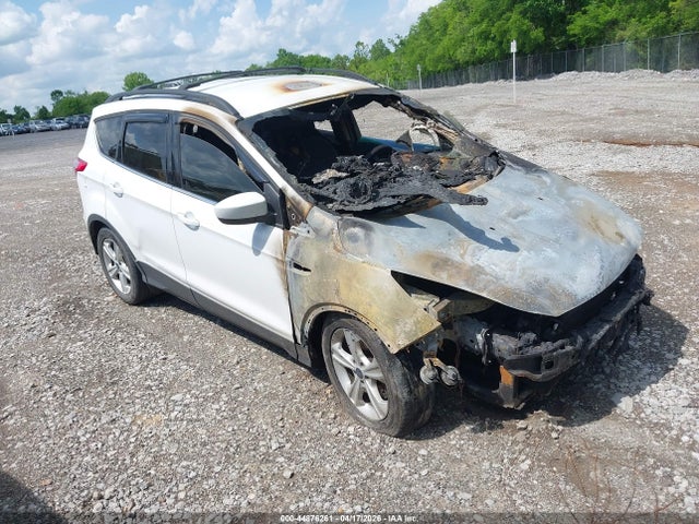 Salvage Ford Escape Image