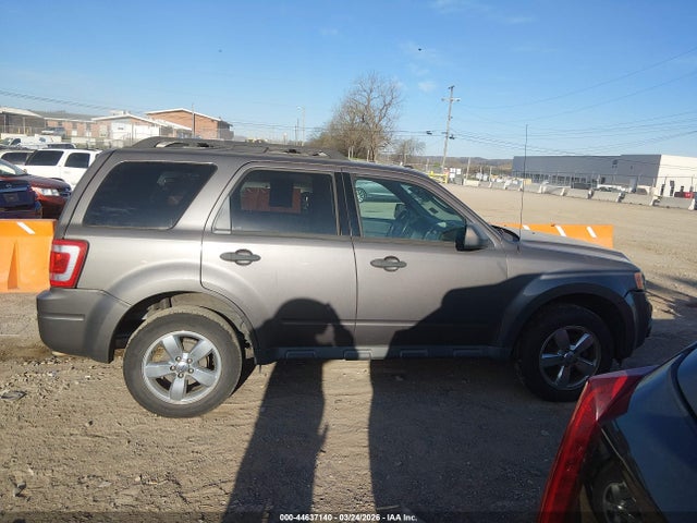 Ford Escape Xlt