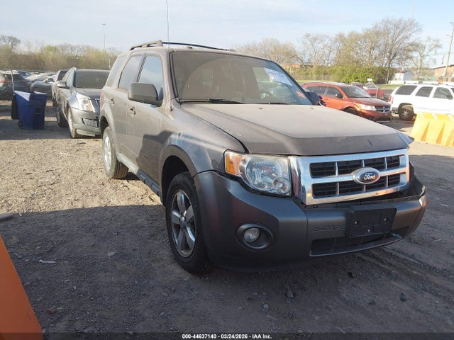 Salvage Ford Escape Image