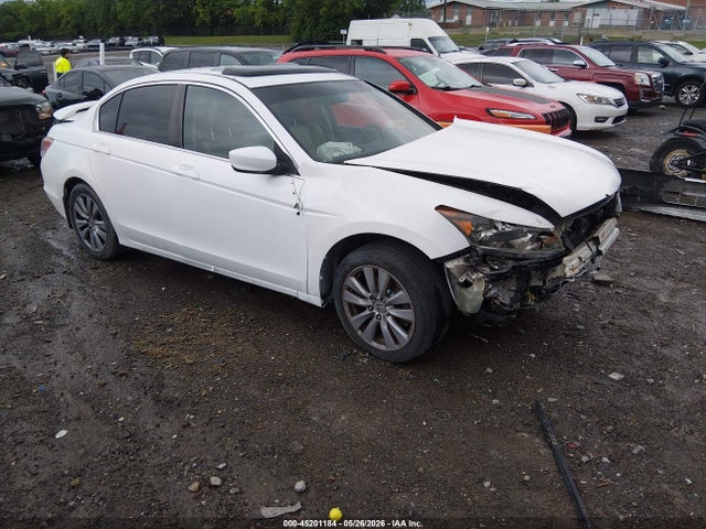 Salvage Honda Accord Image