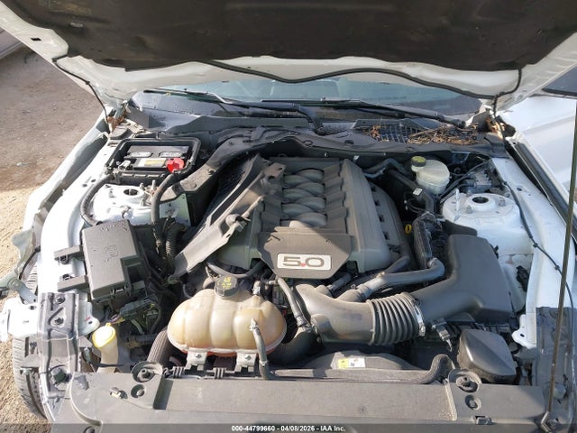 Ford Mustang Gt Premium
