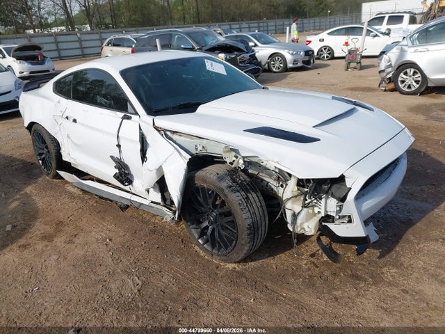 Salvage Ford Mustang Image