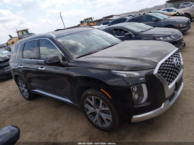 Hyundai PALISADE Calligraphy