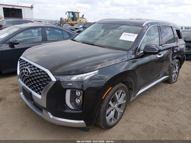 Hyundai PALISADE Calligraphy