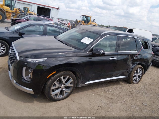 Hyundai PALISADE Calligraphy