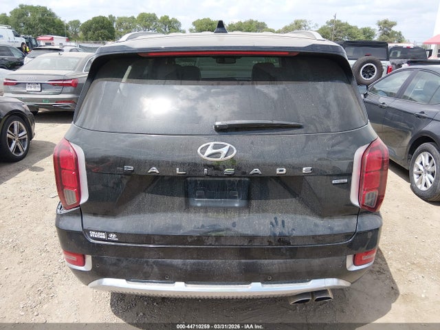 Hyundai PALISADE Calligraphy