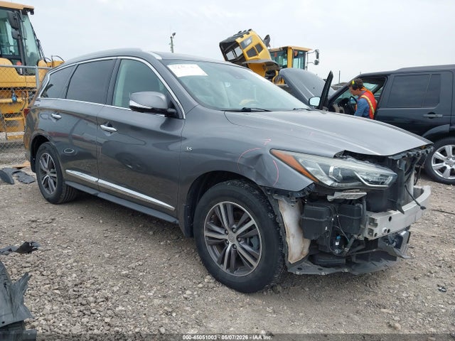 Salvage INFINITI Qx Image