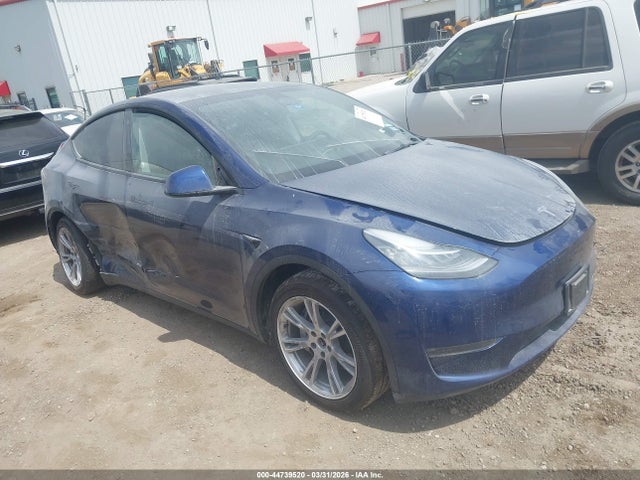Salvage Tesla Model Y Image