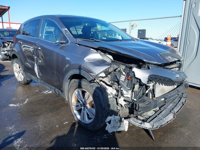 Salvage Kia Sportage Image