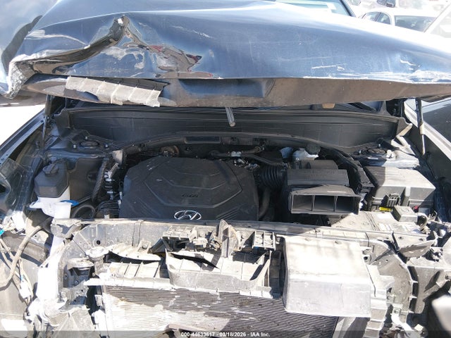 Hyundai PALISADE Sel