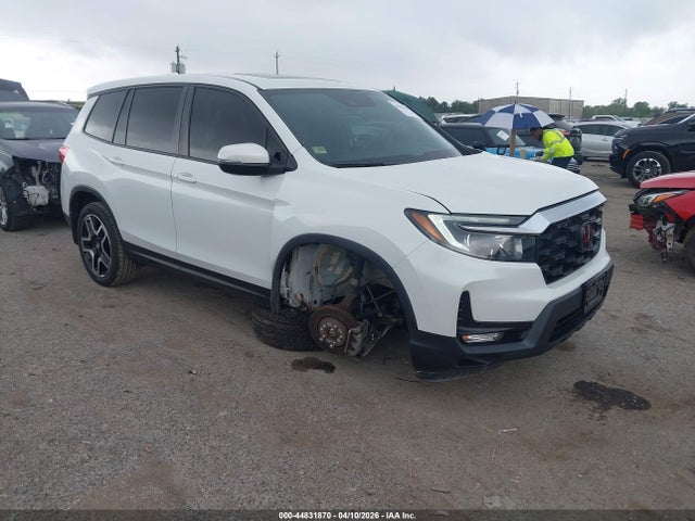 Salvage Honda Passport Image