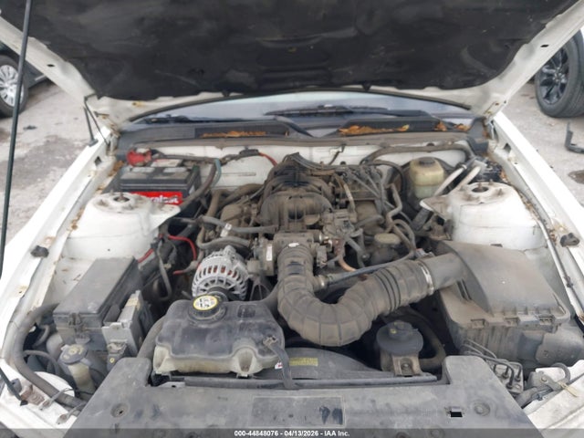 Ford Mustang V6