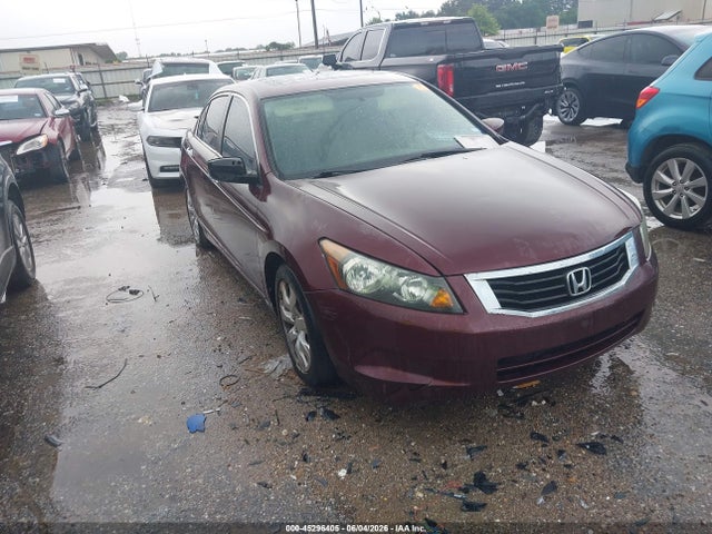 Salvage Honda Accord Image