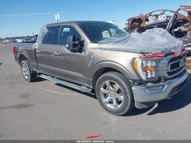 Salvage Ford F-150 Image