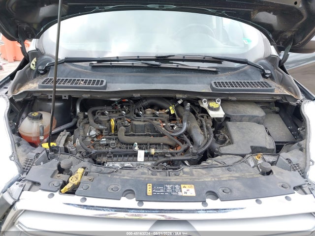 Ford Escape Sel