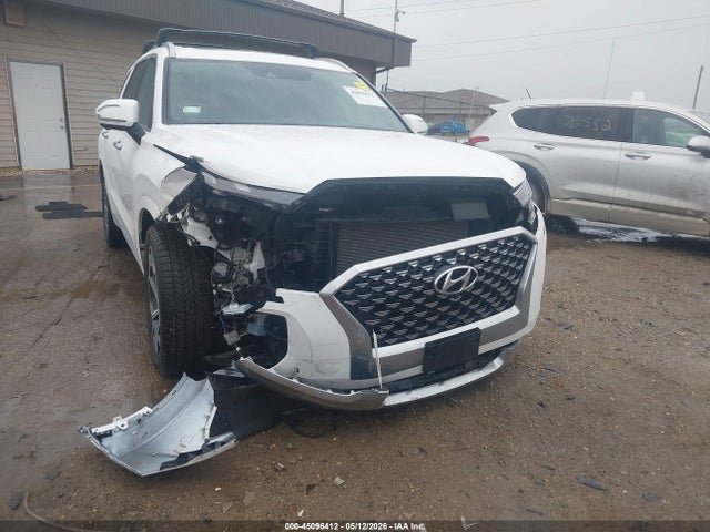 Hyundai PALISADE Calligraphy