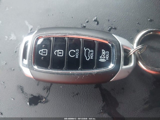 Hyundai PALISADE Calligraphy
