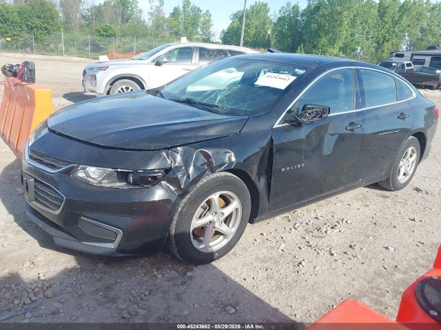 Chevrolet Malibu 1fl
