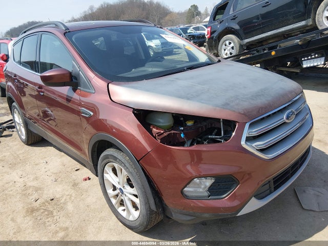 Salvage Ford Escape Image
