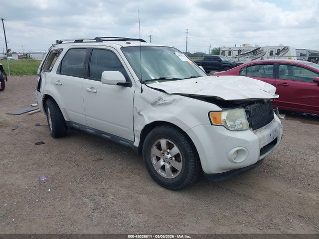 Salvage Ford Escape Image
