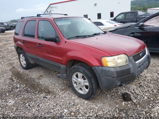 Salvage Ford Escape Image