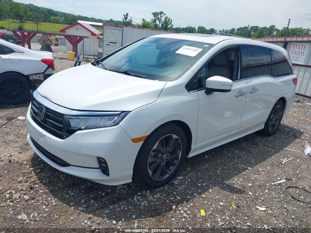 Honda Odyssey Elite
