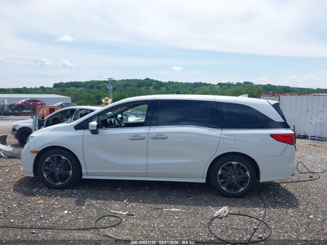 Honda Odyssey Elite