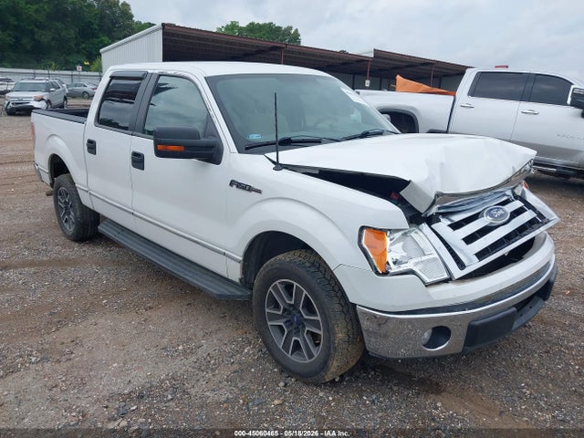 Salvage Ford F-150 Image