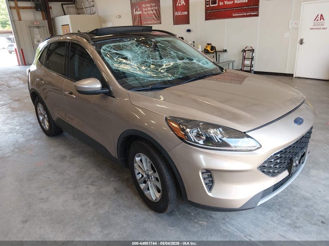 Salvage Ford Escape Image